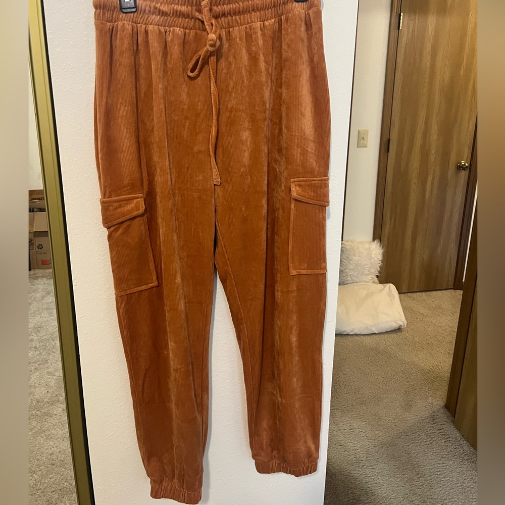 Size large burnt orange velvet pants!